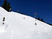 Nice and steep – Slope 12 "Devil's Run" at Horberg