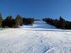 Ski resorts for advanced skiers and freeriding Pyrenees – Advanced skiers, freeriders La Molina/Masella – Alp2500