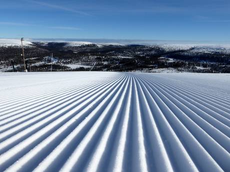 Slope preparation Sälen – Slope preparation Tandådalen/Hundfjället (Sälen)