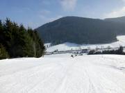 Easy family slope
