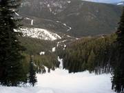 Steep forest descents on the backside