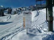 Snowpark Backyards