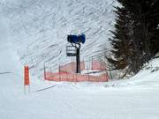 Snow cannon in the Fernie ski area