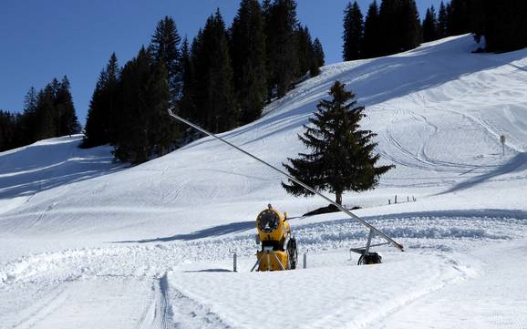 Snow reliability Gstaad – Snow reliability Rinderberg/Saanerslochgrat/Horneggli – Zweisimmen/Saanenmöser/Schönried/St. Stephan