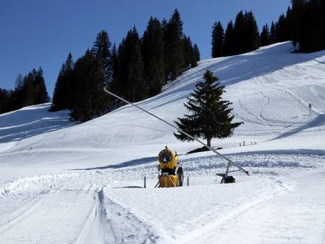 Snow reliability Simmental – Snow reliability Rinderberg/Saanerslochgrat/Horneggli – Zweisimmen/Saanenmöser/Schönried/St. Stephan