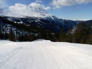 Kula downhill run