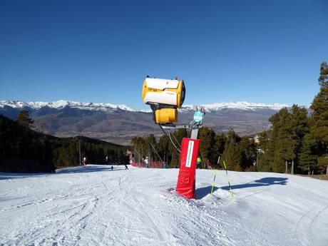 Snow reliability Spain – Snow reliability La Molina/Masella – Alp2500
