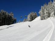 Mooslehen slope