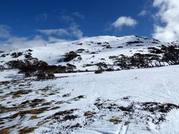 Perisher