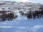 Difficult slope Maggans Fall No. 16