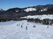 Wide and easy slopes for practicing on the Winklmoosalm