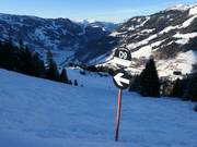 Black mogul slope