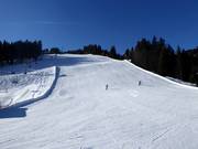 Waldabfahrt slope