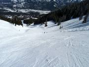 Slope Linda's Run