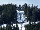 Raven Ridge Quad Chair