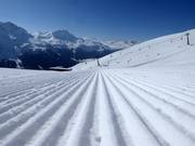 Excellent slope grooming
