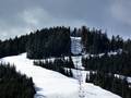 Slopes Cypress Mountain