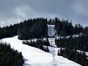 View of the Crazy Raven run