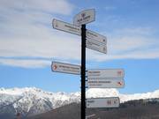 Bilingual signage