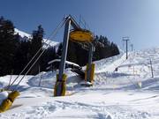 Bumps - T-bar