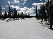 Whistlestop Run
