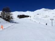 Easy slope Survih