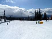 Special slopes for slow skiing can be found in Big White