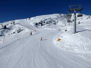 Laresei slope