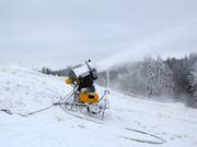 Snow cannon in the Talma ski resort