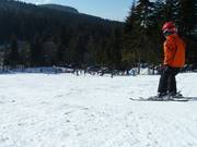 Fun in the snow