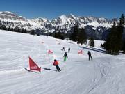 Skicross