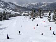 Brighton Terrain Parks