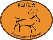 Aavasaksa