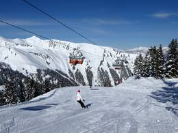 Riesneralm – Donnersbachwald