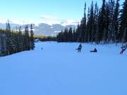 Slope Rollout
