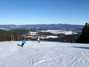 Men's downhill