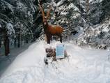 Children's obstacle course - "Finde die Tiere des Waldes" (find the animals of the forest)