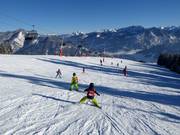 Ski courses at the Glocknerwiese