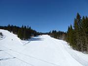 Slope No. 79