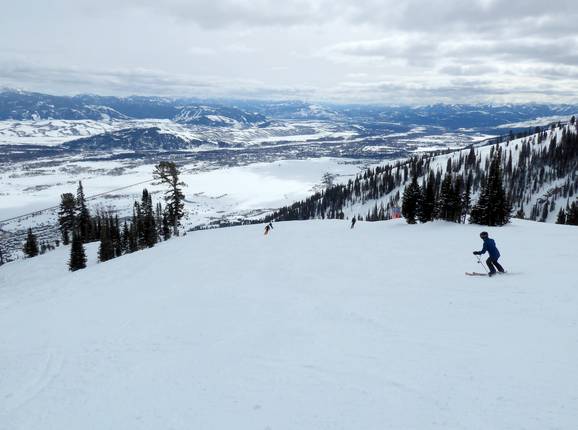 Lupine Way slope