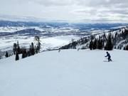 Lupine Way slope