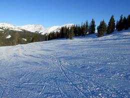 Banff Sunshine