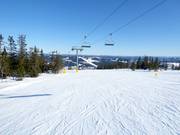 Slope No. 61