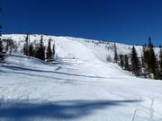 Slope No. 6