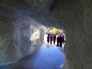 The tunnel in the snowpark