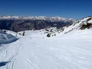 Easy slope Orlove glave No. 4