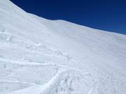 Wide powder slopes