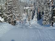 Faregg Lift - T-bar