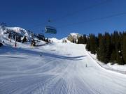 Ski run Saxner II