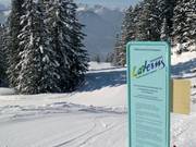 Snowpark Laterns